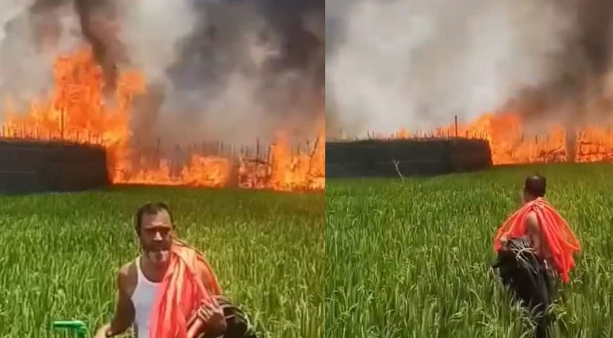 এক সিগারেটের আগুনে পুড়ে শেষ ১০০ বিঘা পানের বরজ , নিঃস্ব চাষীরা